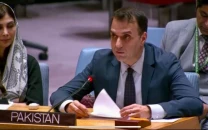 us muslim states urge swift adoption of un gaza resolution us muslim states urge swift adoption of un gaza resolution