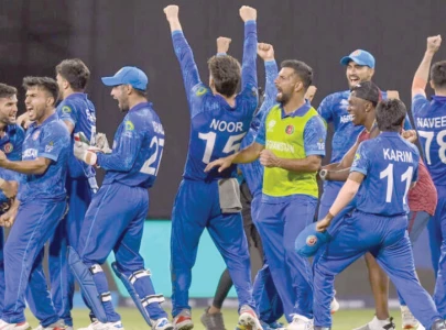 coach trott reveals what makes afghanistan so dangerous in semi final clash against south africa