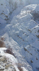 avalanches claim 10 lives in chitral