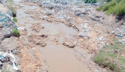 karachi s once living coastline gasps under a relentless tide of waste what was once a source of life for fishing communities has turned into a conduit of pollution as untreated animal waste and hazardous medical debris pour unchecked into the sea photo express