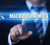 differing views on macroeconomic stabilisation