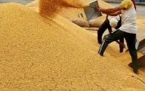 india cancels 25 000mt soymeal export deals