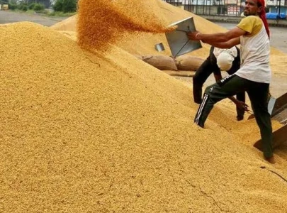 india cancels 25 000mt soymeal export deals