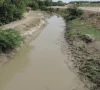 sida seeks removal of irsa member over sindh shortfall sida seeks removal of irsa member over sindh shortfall