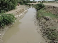 sida seeks removal of irsa member over sindh shortfall