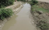 sida seeks removal of irsa member over sindh shortfall sida seeks removal of irsa member over sindh shortfall