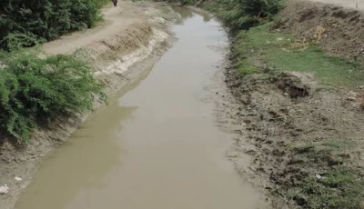 sida seeks removal of irsa member over sindh shortfall
