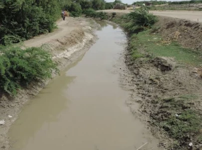 sida seeks removal of irsa member over sindh shortfall
