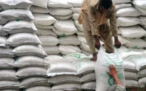 govt postpones sugar export decision govt postpones sugar export decision