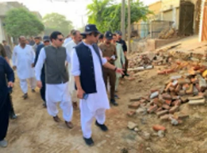 committee to probe substandard projects