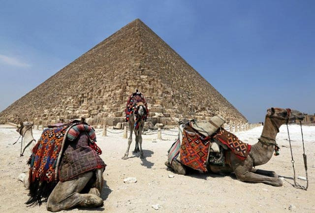 egypt s participation in cpec would open up a new channel of unhindered flow of trade photo reuters egypt s participation in cpec would open up a new channel of unhindered flow of trade photo reuters