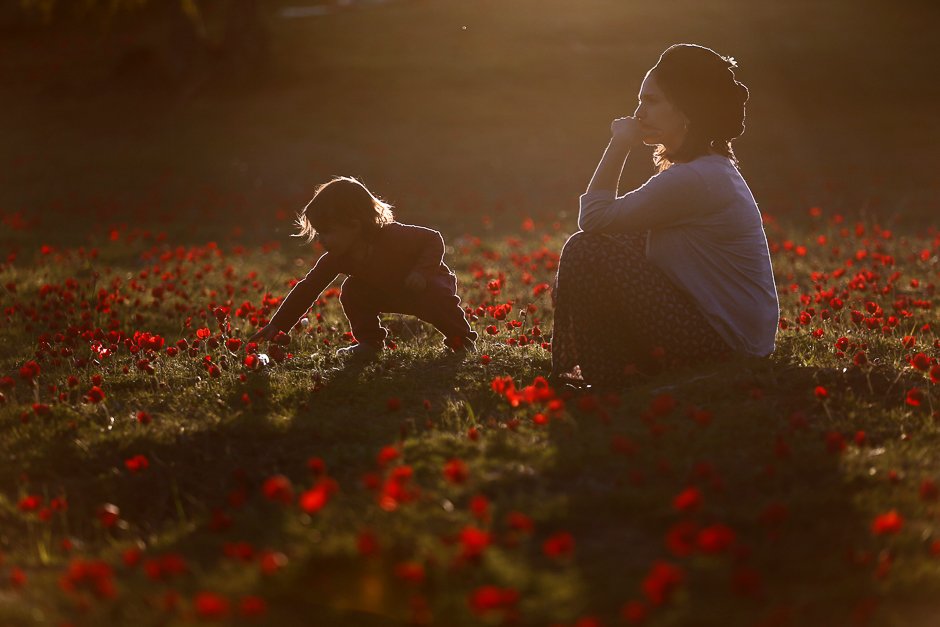 a woman plays with her daughter in an anemones field near kibbutz alumim in southern israel photo reuters