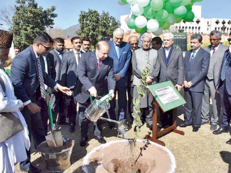 pm nawaz sharif waters a plant after inaugurating the plantation drive photo app