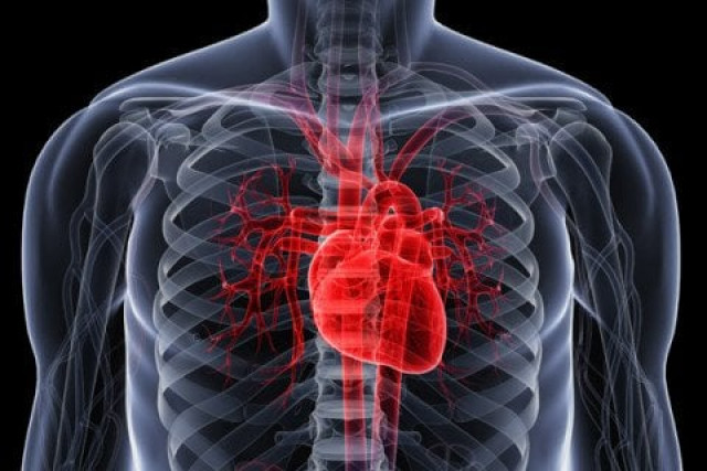 senate panel tasks pmdc to take action on complaints relating to stents senate panel tasks pmdc to take action on complaints relating to stents