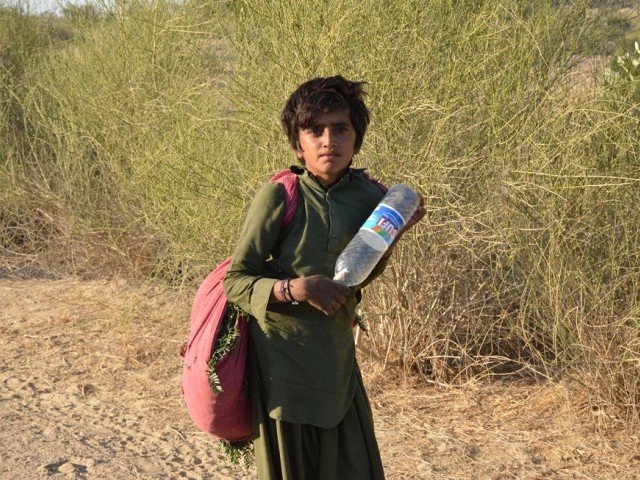 a young boy in search of water in tharparkar photo mukesh raja