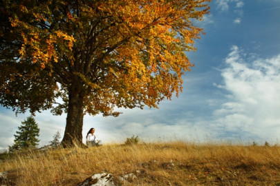 i ll wait for you i ll wait for you