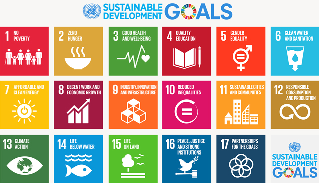sustainable development goals picture un