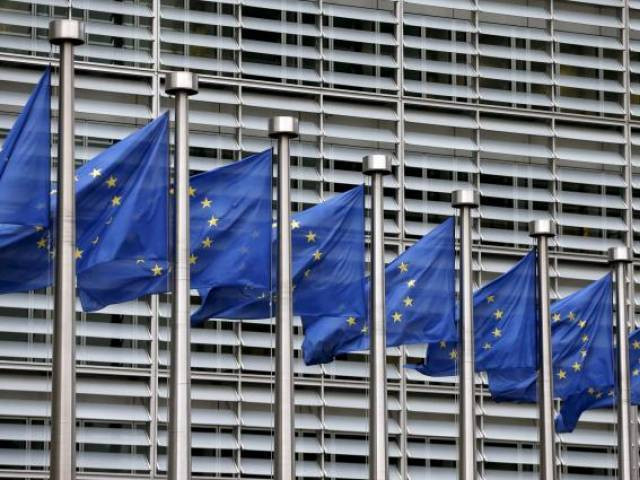 eu and its member states need to show resolve to halt poland 039 s backsliding from common values of eu organisations say photo reuters eu and its member states need to show resolve to halt poland 039 s backsliding from common values of eu organisations say photo reuters