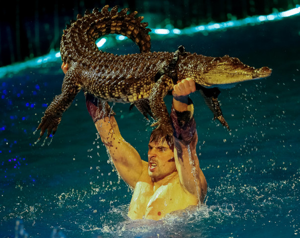 a crocodile and its tamer perform during the presentation of the new show quot water and fire quot at the national circus in kiev ukraine photo reuters