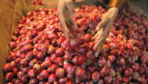 india imposes 40 export duty on onions