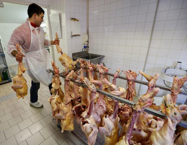 an employee works on a rack of slaughtered ducks at a poultry farm in eugenie les bains france january 24 2017 as france scales back preventive slaughtering of ducks to counter bird flu after the culling of 800 000 birds this month helped slow the spread of the disease photo reuters