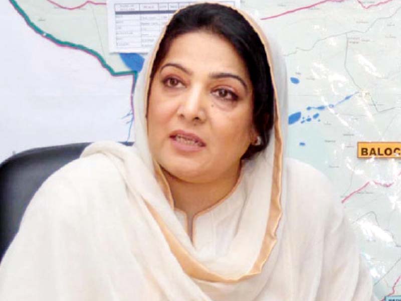 minister of state for it anusha rehman photo file