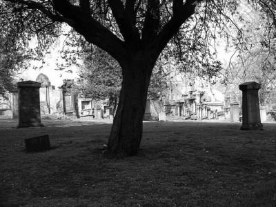 the capital vulture tales from islamabad s haunted underworld the capital vulture tales from islamabad s haunted underworld