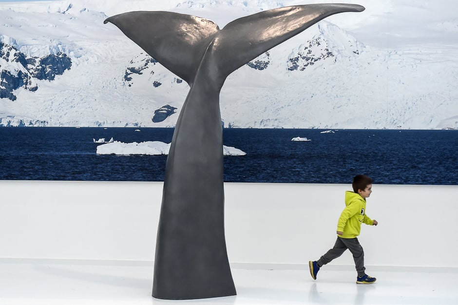 a child runs past a mock whale tail during a visit at the paul emile victor museum photo reuters