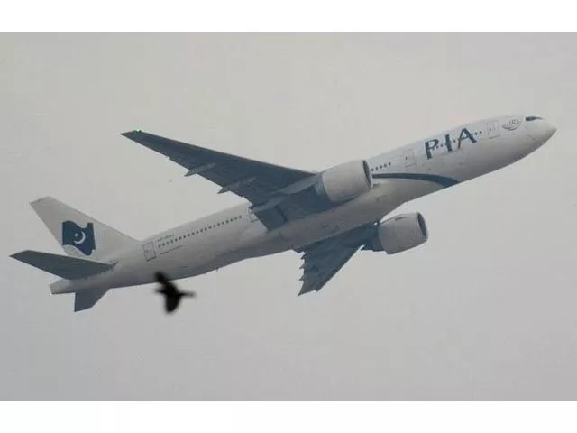 a report said that the january 20 flight to madina carried 416 passengers seven more than its capacity photo afp a report said that the january 20 flight to madina carried 416 passengers seven more than its capacity photo afp