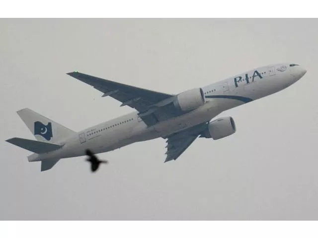 a report said that the january 20 flight to madina carried 416 passengers seven more than its capacity photo afp a report said that the january 20 flight to madina carried 416 passengers seven more than its capacity photo afp