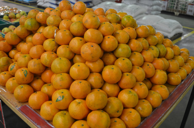 due to the proximity and huge consumption of imported fruits iran has been a lucrative market for pakistani fruit exporters photo file due to the proximity and huge consumption of imported fruits iran has been a lucrative market for pakistani fruit exporters photo file