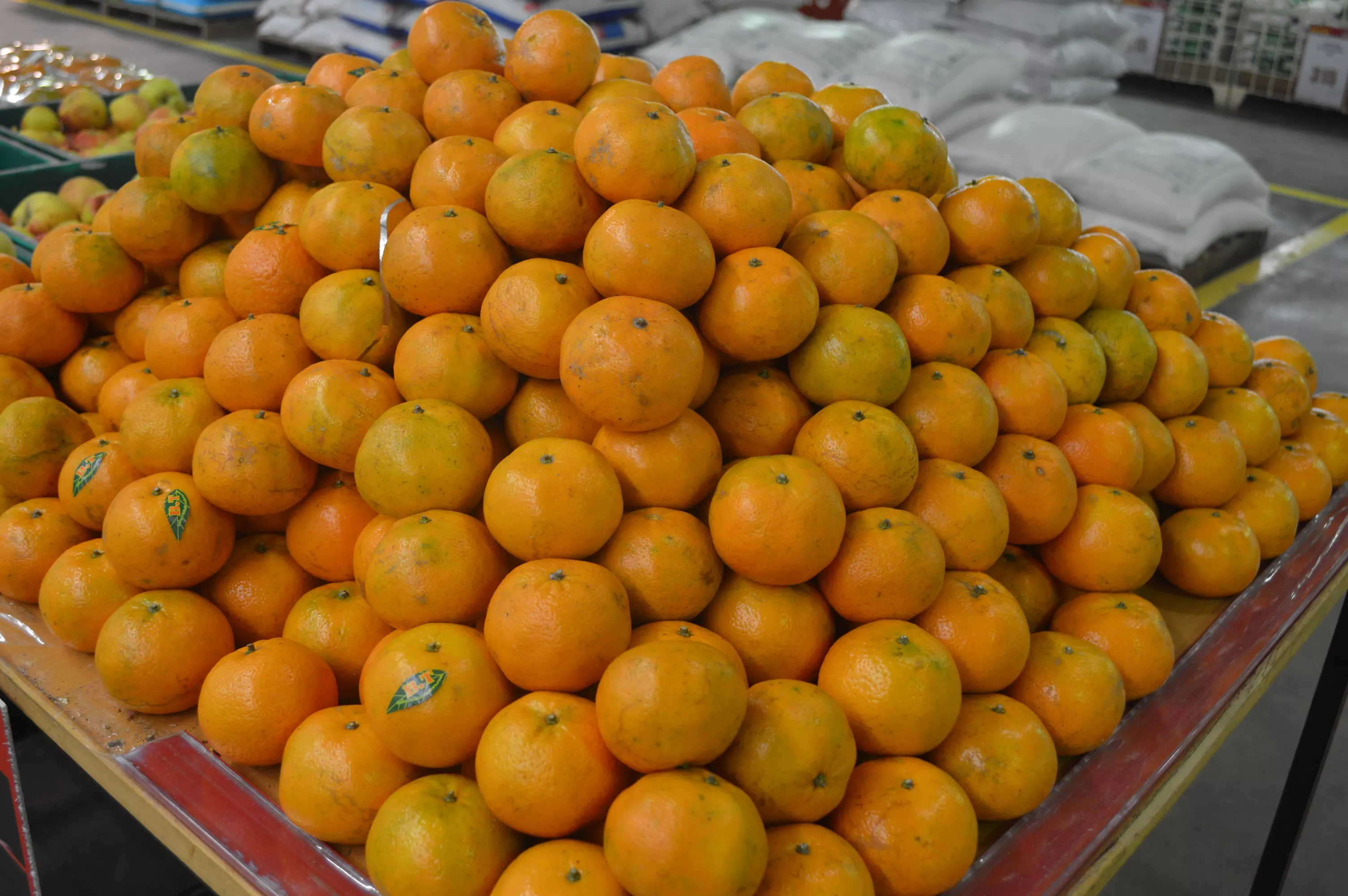 due to the proximity and huge consumption of imported fruits iran has been a lucrative market for pakistani fruit exporters photo file due to the proximity and huge consumption of imported fruits iran has been a lucrative market for pakistani fruit exporters photo file
