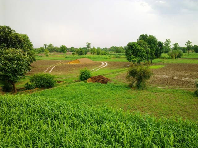 shehbaz says province can benefit a great deal from beijing florascape photo courtesy wonders of pakistan shehbaz says province can benefit a great deal from beijing florascape photo courtesy wonders of pakistan