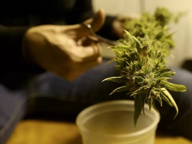 mothers rouse support for legalizing medical marijuana mothers rouse support for legalizing medical marijuana