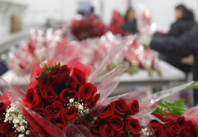 poor planning hurting pakistan s floriculture sector poor planning hurting pakistan s floriculture sector