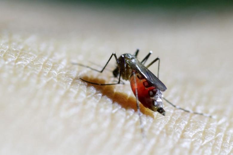 zika caused twenty fold spike in birth defects   us study