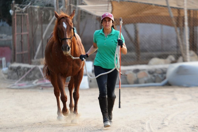dana al gosaibi 039 s passion for training horses is hard to pursue in a conservative countr photo afp dana al gosaibi 039 s passion for training horses is hard to pursue in a conservative countr photo afp