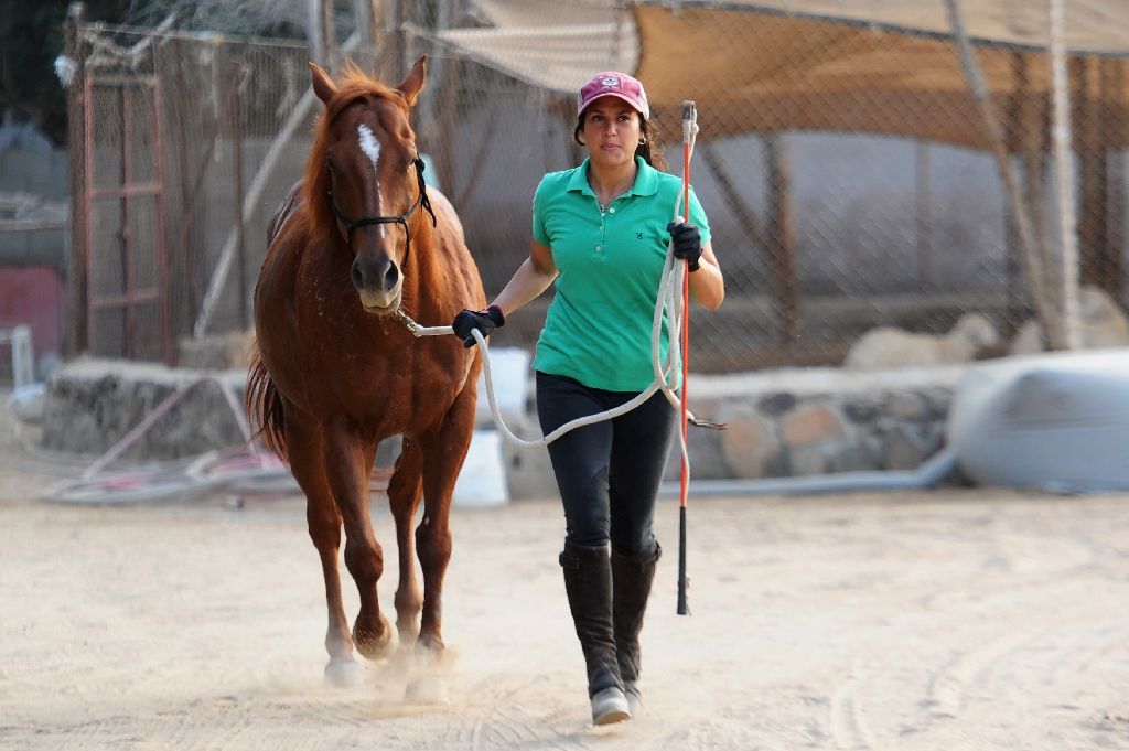 dana al gosaibi 039 s passion for training horses is hard to pursue in a conservative countr photo afp