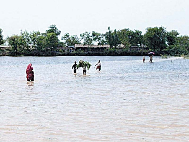 the court has observed that people living downstream on both sides of indus river are dying because of toxic effluent and waste in manchar lake photo app the court has observed that people living downstream on both sides of indus river are dying because of toxic effluent and waste in manchar lake photo app