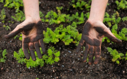 pha prepares compost from green waste pha prepares compost from green waste