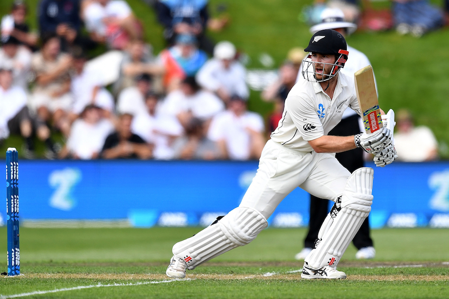 williamson leads new zealand s strong reply against south africa