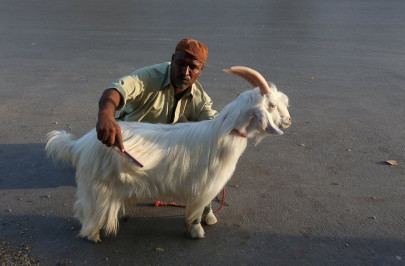 pictures of the day march 10 2017