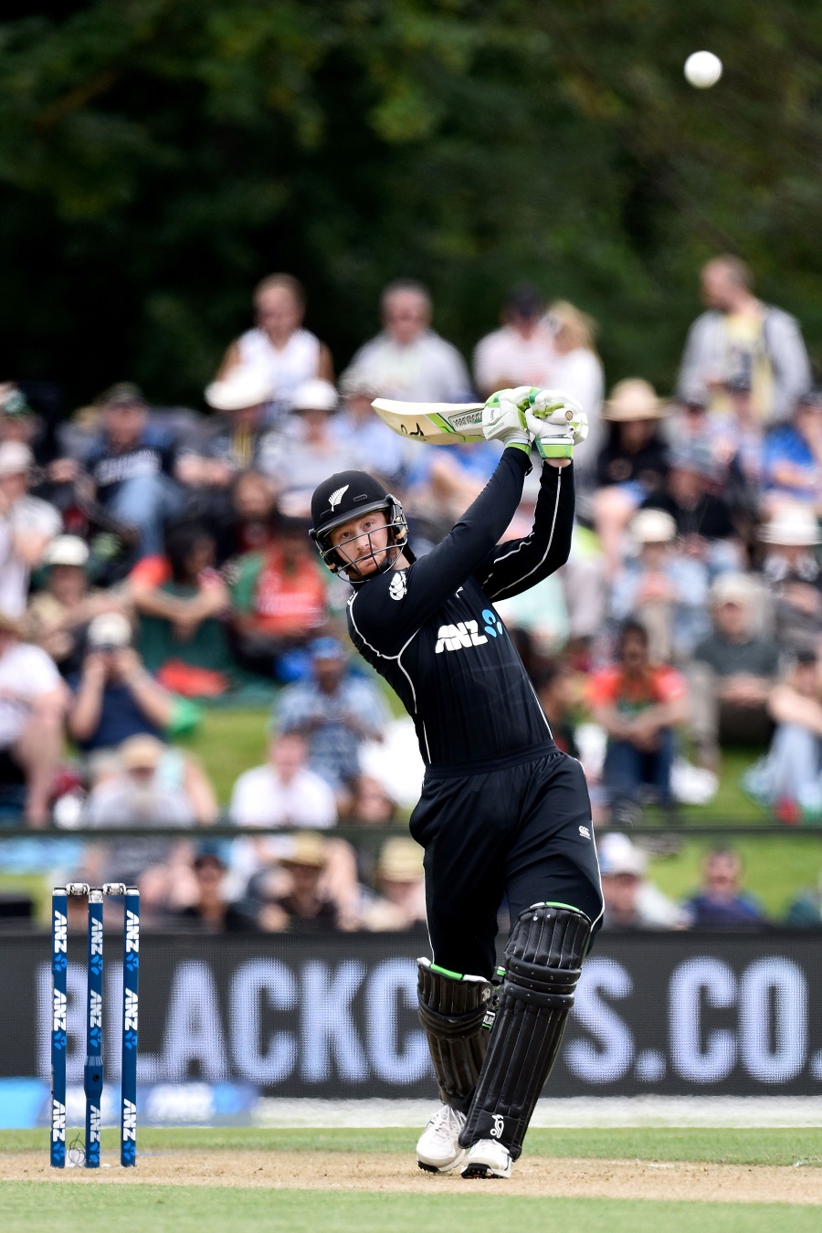 new zealand s guptill out of action for six weeks