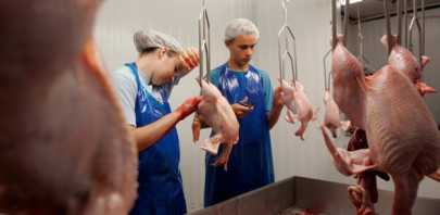 antibiotic free meat gets a foothold in us