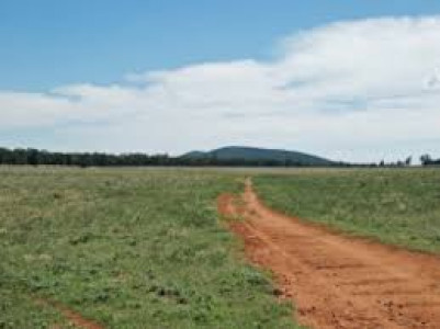 authorities reclaim 87 acres from land grabbers in bhakkar authorities reclaim 87 acres from land grabbers in bhakkar