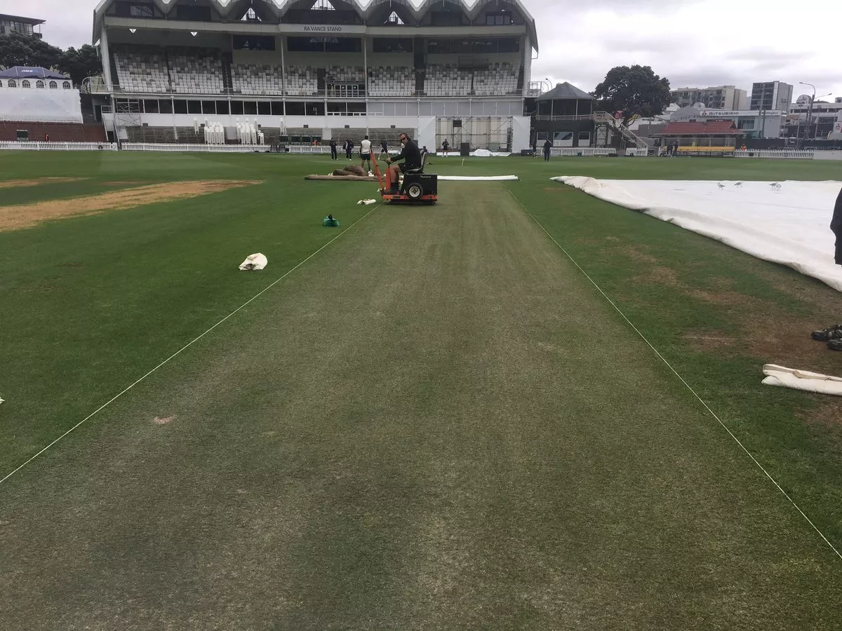 picture of the pitch to be used for the second test between new zealand and south africa which will start from thrusday in wellington photo courtesy twitter blackcaps picture of the pitch to be used for the second test between new zealand and south africa which will start from thrusday in wellington photo courtesy twitter blackcaps