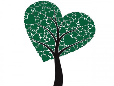 my arranged marriage to pakistan my arranged marriage to pakistan