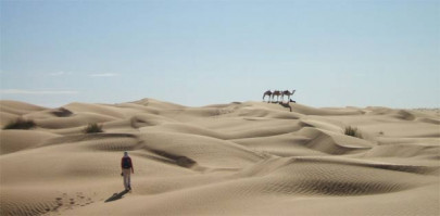 humans may have transformed the sahara from lush paradise to barren desert