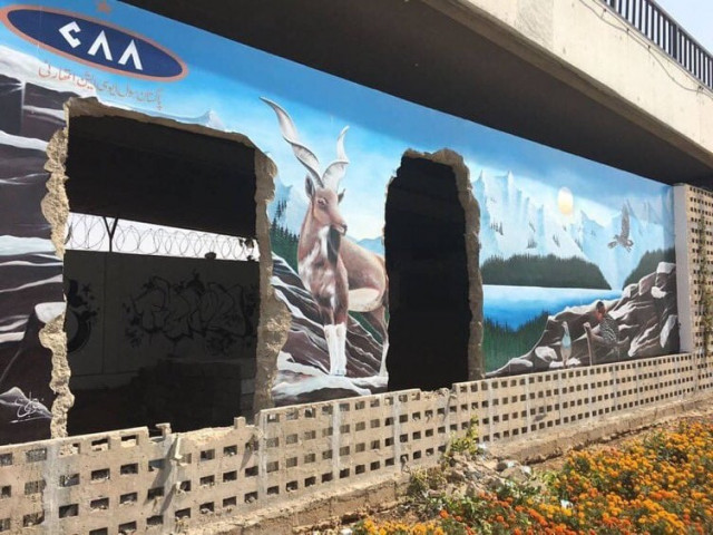 painting of a marakhor was done by italian local artists at jinnah airport a few months ago photo omar r qureshi twitter