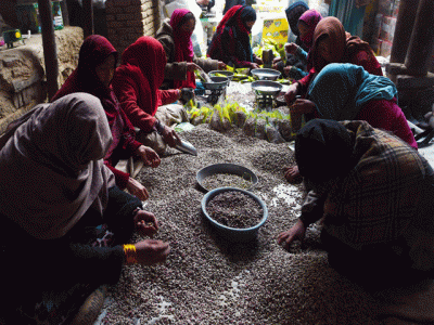 why are the afghan taliban going nuts